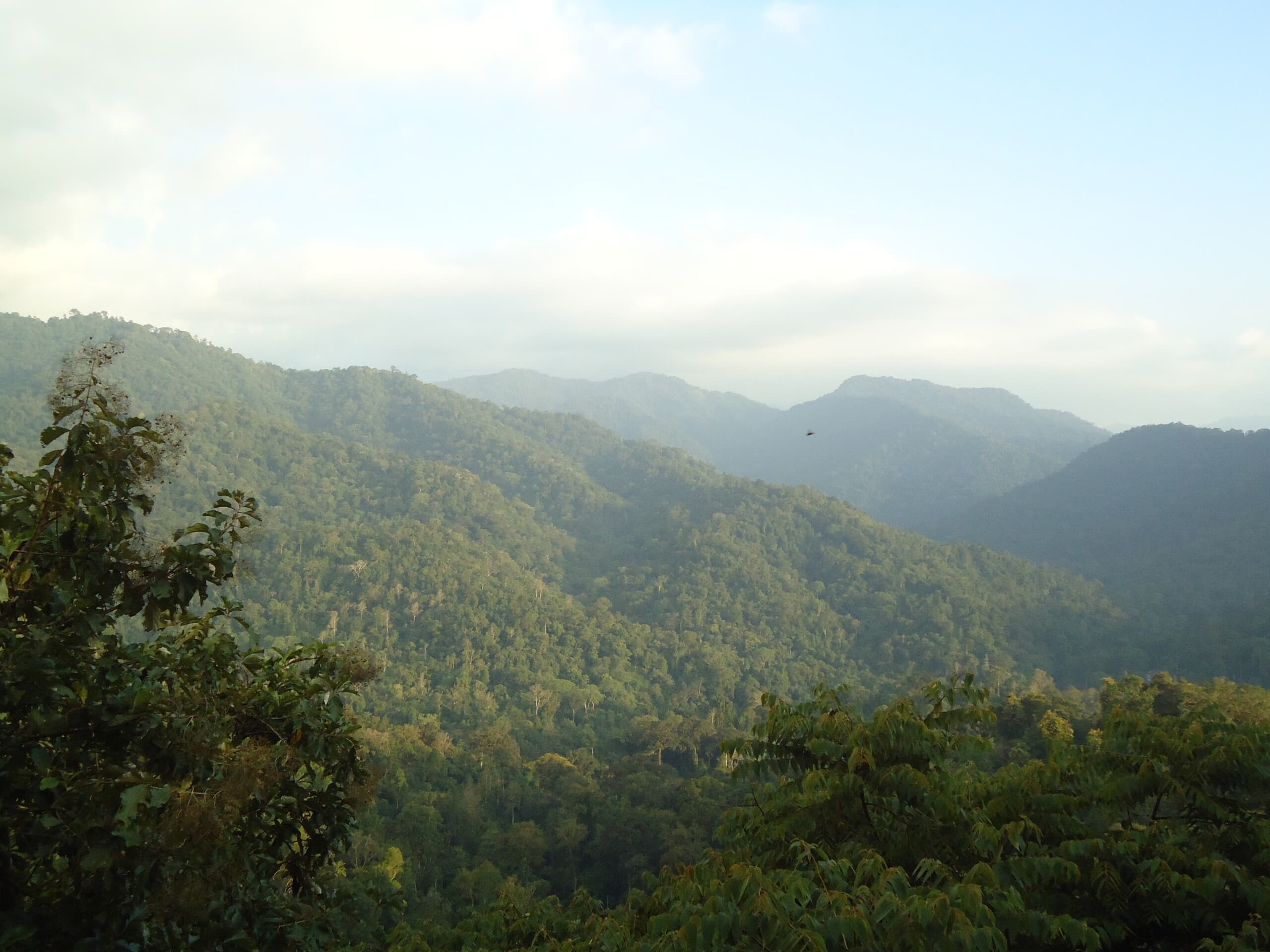 সাবরিমালা মন্দির